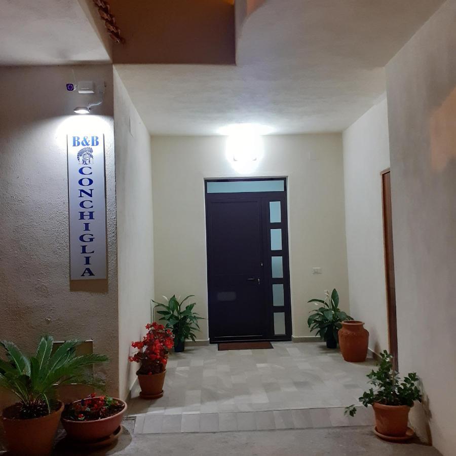 La Conchiglia Bed And Breakfast San Nicola Arcella Exteriör bild