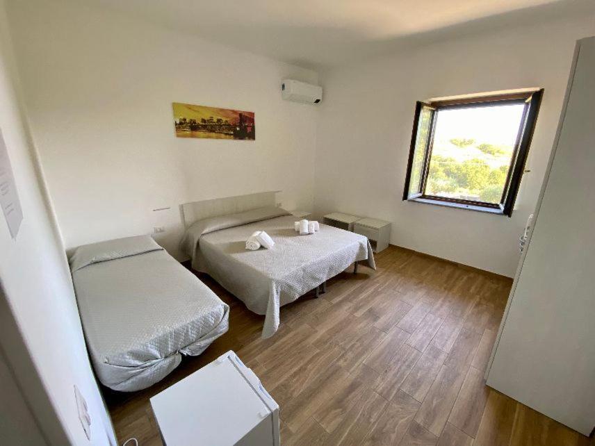 La Conchiglia Bed And Breakfast San Nicola Arcella Exteriör bild